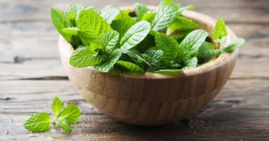 Learn about the health benefits of mint_the life