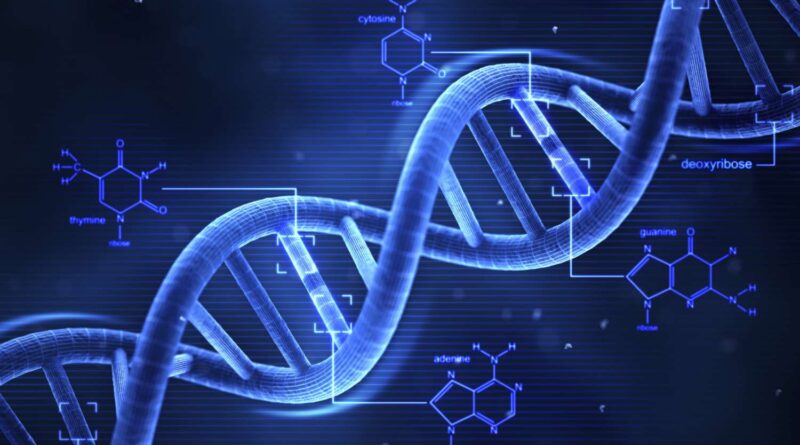 Time-restricted_eating_can_reshape_gene_expression_say_researchers