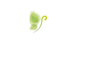 Life.media_logo