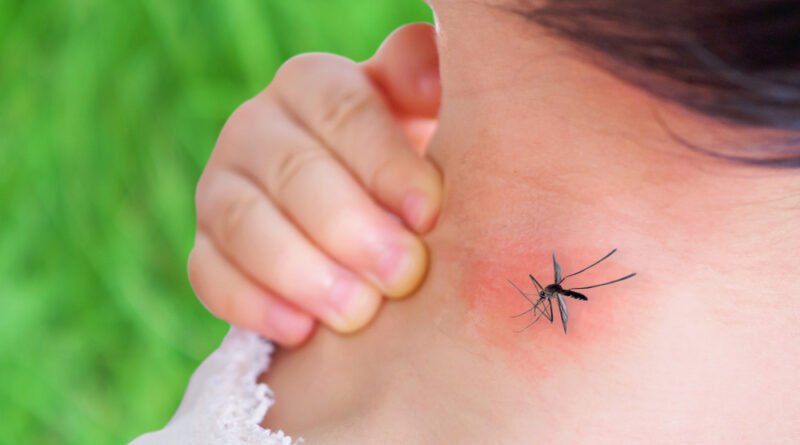 Unmasking-Unusual-Symptoms-of-Dengue-Infection