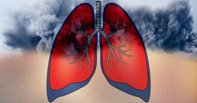 Air pollution: Expert lists home remedies to keep your lungs healthy