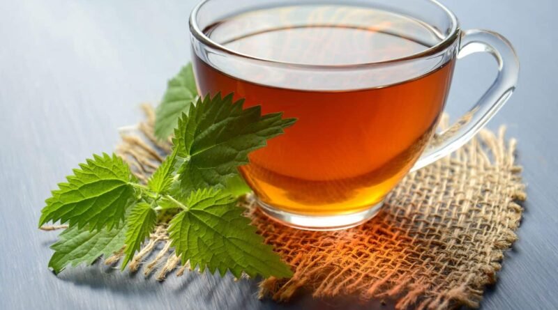 Mint-Leaves-Tea-on-an-Empty-Stomach