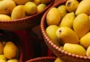 mango-can-be-harmful
