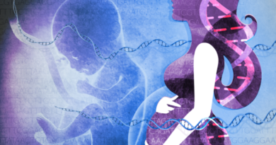 men-are-going-to-disappear-from-the-world-y-chromosome-is-slowly-vanishing