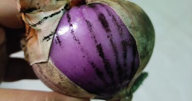 black-mold-around-onion-is-it-good-to-eat