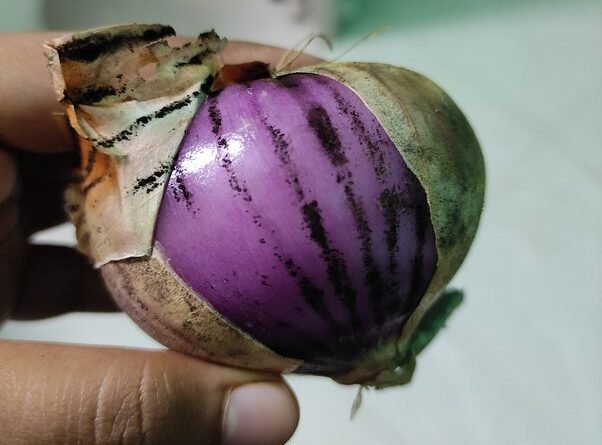 black-mold-around-onion-is-it-good-to-eat