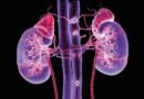 how-to-ensure-kidney-protection