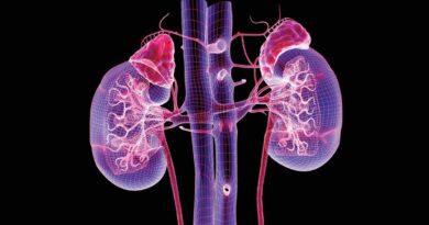 how-to-ensure-kidney-protection